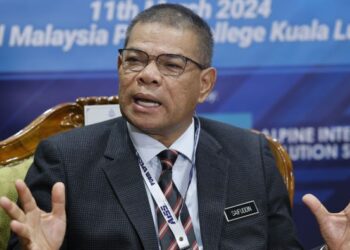SAIFUDDIN NASUTION ISMAIL