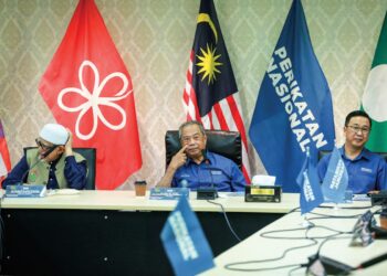 PERIKATAN Nasional (PN) dilihat memerlukan kerjasama politik dengan parti lain bagi menggantikan Parti Gerakan Rakyat Malaysia (Gerakan) yang dikatakan tidak mampu memainkan peranan menarik undi bukan Melayu. – utusan/AFIQ RAZALI