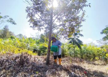 Lapan kawasan di Semenanjung merekodkan cuaca panas Tahap 1 atau berjaga-jaga, pagi ini.