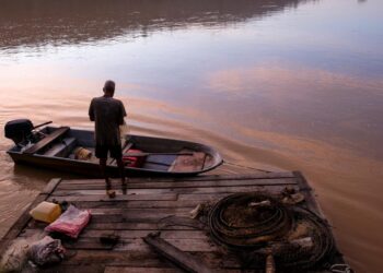 Seorang nelayan  menangkap ikan di Kampung Belimbing di tepi Tasik Chini pada pukul 7.13 pagi semalam. - MINGGUAN/MUHAMAD IQBAL ROSLI