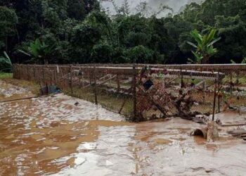 KEADAAN air sungai di Ulu Katibas yang dilimpah dengan tebangan pokok serta menyebabkan paras air meningkat dan melimpah ke kawasan rumah panjang.