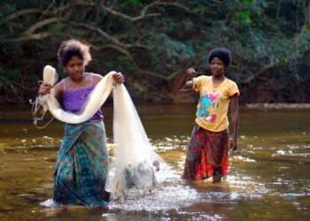 WANITA masyarakat Orang Asli turut membantu 
keluarga mencari ikan di sungai