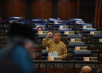 MOHAMAD Sabu semasa pertanyaan-pertanyaan bagi jawab lisan di Dewan Rakyat hari ini. - GAMBAR JABATAN PENERANGAN MALAYSIA