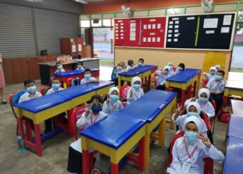 KESEMUA 20 orang murid tahun satu yang mendaftar di SJKC Chi Sin, Batu Kikir, Jempol terdiri daripada murid Melayu