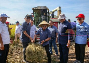 MOHAMAD Sabu (tengah) meninjau Projek Gelombang Padi Smart SBB Ala Sekincan di Kampung Gulau, Pendang, semalam. -UTUSAN/ SHAHIR NOORDIN