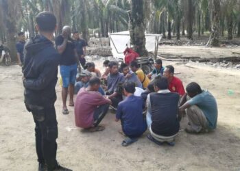 SEBAHAGIAN penagih yang ditahan dalam ladang kelapa sawit Sungai Division semasa Op Tapis Khas di Sungai Petani.