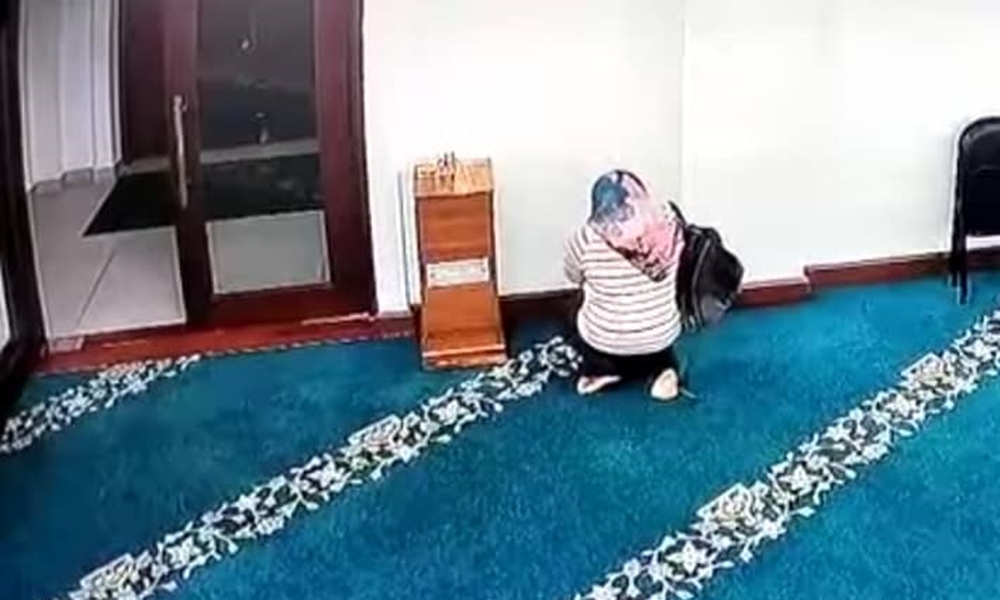 Curi beg