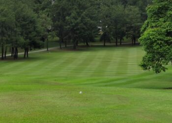 LUBANG satu par 4 dengan hamparan rumput Zoyzia yang menghijau membangkitkan semangat pemain golf ketika beraksi di PGCC.