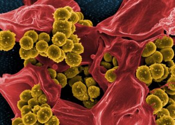 PASUKAN saintis Sweden menemukan ubat baharu untuk membunuh kuman yang tahan antibiotik.-AGENSI