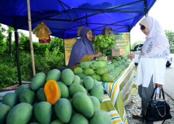 KOS untuk memulakan perniagaan akan menjadi lebih tinggi dengan pengenalan e-invois dan sistem elektronik selalu mempunyai caj perkhidmatan tambahan sekali gus menyebabkan kenaikan harga barang. – UTUSAN/IZLIZAN OTHMAN