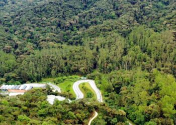 JALAN raya Cameron Highlands sempit dan
tidak mampu menampung kapasiti kenderaan.
– UTUSAN/IHSAN REACH