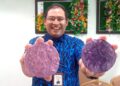 AHMAD SHAHRUL Radzuan Mat Som menunjukkan sabun ekstrak minyak masak terpakai hasil ciptaan pensyarah dan pelajar Kolej Komuniti Bagan Serai di Kampar, Perak. - UTUSAN/MEGAT LUTFI MEGAT RAHIM