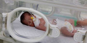 BAYI syahid Sabreen Al-Sakani diletakkan di dalam inkubator di Hospital Rafah di selatan Semenanjung Gaza.-AFP