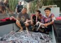PESERTA mencandat sotong menunjukkan hasil tangkapan di perairan Terengganu. – UTUSAN/TENGKU DANISH BAHRI TENGKU YUSOFF
