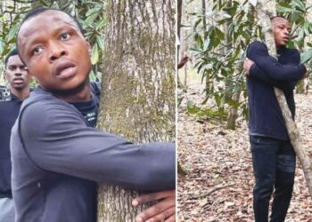 ABUBAKAR Tahiru  memeluk 1,123 pokok di Hutan Negara Tuskegee, Alabama. -AGENSI