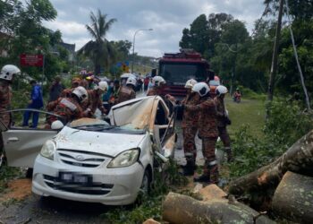 ANGGOTA bomba memotong kenderaan dalam kejadian sebuah kereta dihempap pokok yang mengakibatkan pemandunya meninggal dunia dalam kejadian di Jalan Senawang-Paroi Taman Rashidah Utama, Seremban pada 4 April lalu-GAMBAR/IHSAN BOMBA