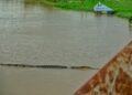 KELIBAT seekor buaya yang muncul di permukaan Sungai Linggi dekat pekan Linggi, Port Dickson susulan kejadian banjir dan peningkatan paras air sungai berkenaan semalam.-UTUSAN/MOHD. SHAHJEHAN MAAMIN.