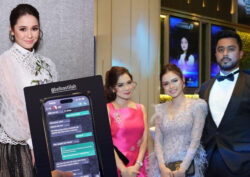 Emma Maembong mohon maaf, tiada niat sibuk rumah tangga orang lain