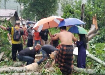 PENDUDUK kampung cuba membantu mengeluarkan mangsa yang tersepit di bawah timbunan pokok kabu yang tumbang dibadai ribut.