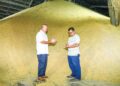 LEBIH 12,000 tan metrik padi masih belum diproses `tersadai’ di tiga buah kilang Dibuk Sdn. Bhd., Kangar, Perlis ketika tinjauan dibuat, baru-baru ini. – UTUSAN/IZLIZAN OTHMAN