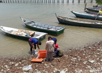 PIHAK berwajib mengambil sampel kupang dan kerang di Kampung Telok dan Sungai Sekawang, Port Dickson bagi tindakan selanjutnya selepas terdapat beberapa kes keracunan makanan disyaki berpunca daripada memakan kupang dan kerang dari perairan Port Dickson.-GAMBAR/IHSAN PERSATUAN NELAYAN KAWASAN TELOK KEMANG.