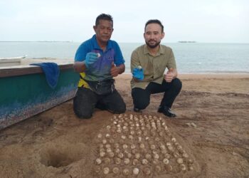 HISHAMUDIN Abd. Manap (kiri) dan John Yeong menunjukkan telur penyu karah yang ditemukan di Pantai Tanjung Gemok, Port Dickson pagi tadi.