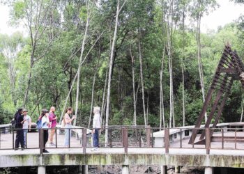 KITA menikmati ekosistem hutan untuk pelbagai kepentingan tetapi sejauh mana menghargai khazanah alam ini . – GAMBAR HIASAN
