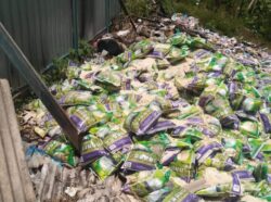 Beras dibuang di Temerloh disahkan sudah rosak – KPKM