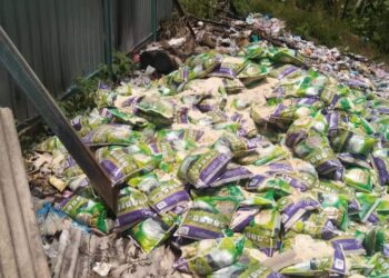 ANTARA sebahagian beras yang dibuang di kawasan pembuangan sampah dekat Rumpun Makmur, Kuala Krau di Temerloh.