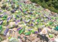 SEBAHAGIAN beras yang dibuang di kawasan pembuangan sampah dekat Rumpun Makmur, Kuala Krau di Temerloh, Pahang.