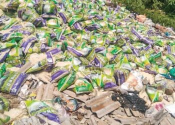 SEBAHAGIAN beras yang dibuang di kawasan pembuangan sampah dekat Rumpun Makmur, Kuala Krau di Temerloh, Pahang baru-baru ini.