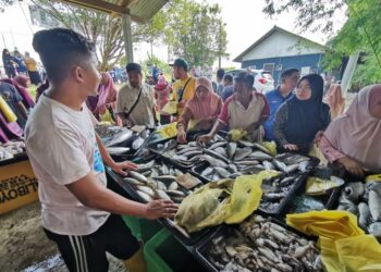 SEBAHAGIAN daripada pelanggan memilih ikan siakap yang dijual 70 sen seekor sempena pembukaan kedai ikan baharu di Kampung Batu Hampar dekat Manir, Kuala Terengganu, semalam. - UTUSAN/KAMALIZA KAMARUDDIN