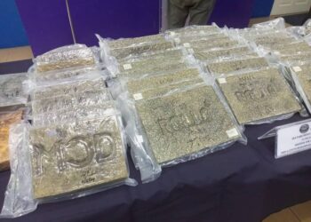 SEBAHAGIAN ganja seberat 35.7 kilogram dirampas pihak polis daripada seorang pegawai khidmat pelanggan di Subang Jaya, Selangor pada 10 Mei lalu.