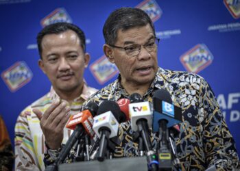 SAIFUDDIN Nasution Ismail