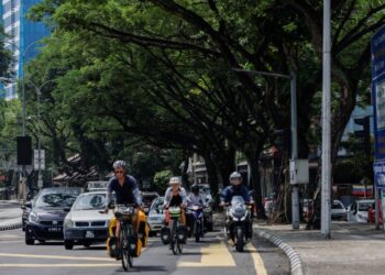 KEBIMBANGAN terhadap keselamatan awam adalah asas bagi keperluan penyediaan garis panduan penyelenggaraan pokok berusia. – UTUSAN/SHIDDIEQIIN ZON