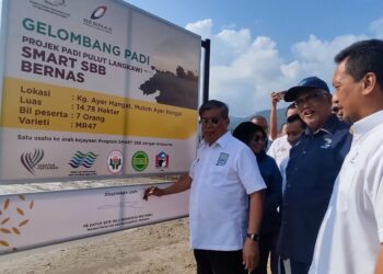 MOHAMAD Sabu merasmikan Projek Padi Pulut Langkawi Smart SBB Ala Sekinchan di Pusat Pengumpulan Padi, Kampung Bukit Hantu, Langkawi.