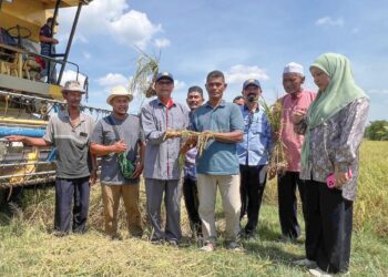 MUHAMMAD Husin (tiga dari kiri) bersama petani menyaksikan hasil padi di Bendang Tok Ajam, Jelor, Pasir Puteh, Kelantan semalam. –  UTUSAN/TOREK SULONG