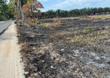 KESAN kebakaran yang berlaku di bahu jalan merebak ke kawasan kebun kelapa sawit di Kampung Kual Kecil, Gunung, Bachok. – UTUSAN/TOREK SULONG