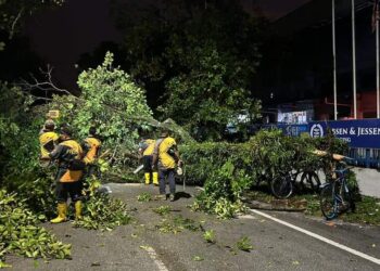 AHLI Skuad Pantas Nilai membantu mengalihkan beberapa pokok tumbang yang menghalang lalu lintas serta laluan di beberapa lokasi di Nilai, Seremban baru-baru ini.