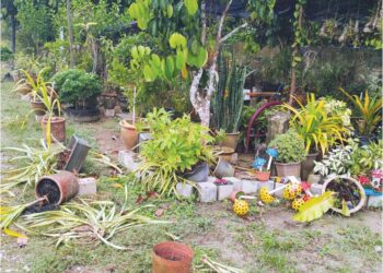 TAMAN diusahakan penduduk di Kota Tinggi, Johor, dirosakkan gajah liar yang memasuki kawasan kampung mereka.