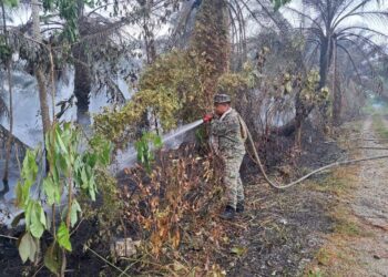 ANGGOTA TDM berusaha memadamkan kebakaran hutan tanah gambut di Kampung Kual Kecil, Gunong, Bachok, Kelantan-IHSAN ATM.