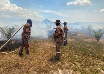 ANGGOTA bomba memadamkan kebakaran di ladang kelapa sawit di Felda Tenang, Hulu Besut, Besut, hari ini. - UTUSAN/WAN ZURATIKAH IFFAH WAN ZULKIFLI