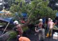 ANGGOTA bomba melakukan kerja-kerja mengalihkan pokok yang tumbang yang menghempap dua khemah peniaga di tapak pasar malam Taman Semarak, Nilai, Seremban petang tadi.