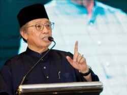 Semakin ramai tenaga kerja profesional pulang berkhidmat di Sarawak
