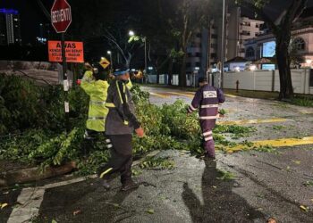 SEKURANG-KURANGNYA 10 lokasi terlibat dalam kejadian pokok tumbang atau ranting patah hingga menghalang laluan gara-gara ribut dan angin kencang di sekitar George Town, Pulau Pinang, malam tadi