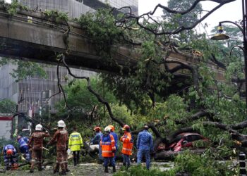 OPERASI laluan Monorel mengalami gangguan perkhidmatan disebabkan dahan pokok yang  tumbang ke atas landasan akibat cuaca buruk berhampiran Stesen Monorel Raja Chulan yang berlaku pada pukul 2.20 petang.-UTUSAN/SYAKIR RADIN