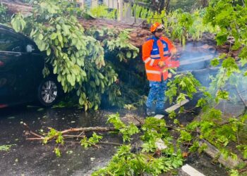 LIMA buah kereta dilaporkan mengalami kerosakan akibat dihempap oleh pokok yang tumbang susulan hujan lebat dan angin kencang di George Town, Pulau Pinang awal pagi tadi.