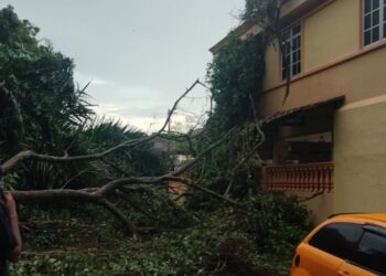SEBATANG pokok yang tumbang telah mengenai sebuah rumah dalam kejadian di Taman Limau Emas, Seremban, petang tadi.