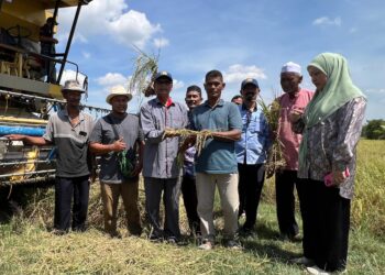 MUHAMMAD Husin (tiga dari kiri) bersama petani menyaksikan hasil padi di bendang Tok Ajam, Jelor, Pasir Puteh, Kelantan hari ini. UTUSAN/TOREK SULONG.