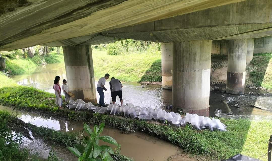 ikan